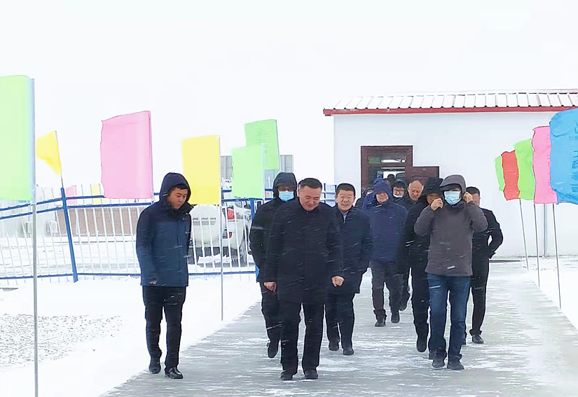 阿勒泰地委、行署帶隊的觀摩團一行60余人到達(dá)北園春多胎羊產(chǎn)業(yè)園_副本.jpg