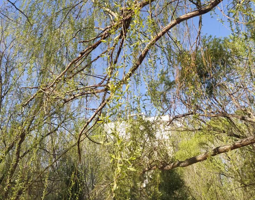 1682499537396185.jpg 微信圖片_20230426122602_副本.jpg